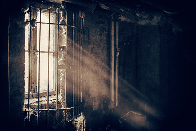 Foto: Denny Muller (unsplash com)