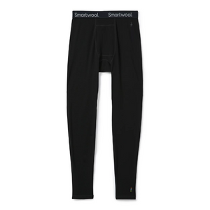 Kalesony z wełną MERINO 250 BASELAYER BOTTOM MEN